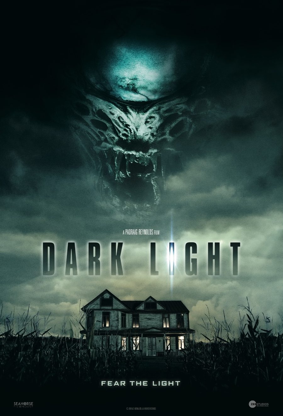 Dark Light poster